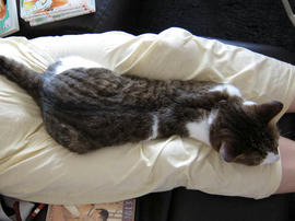 IMG02733.jpg
