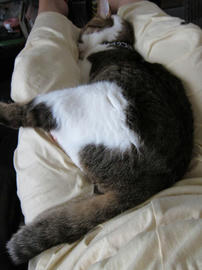 IMG02735.jpg