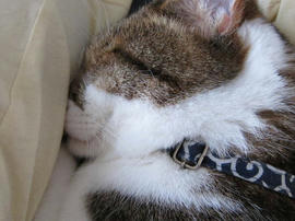 IMG02736.jpg