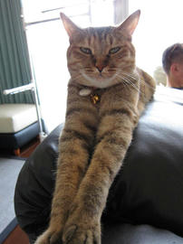 IMG02737.jpg
