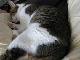 IMG02740.jpg