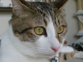 IMGP11626.jpg