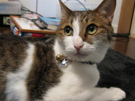 IMG02742.jpg
