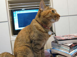IMG02743.jpg