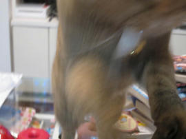 IMG02744.jpg