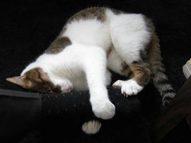 IMG02760.jpg