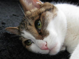 IMG02764.jpg