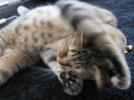 IMG02765.jpg