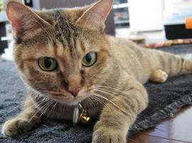 IMG02768.jpg
