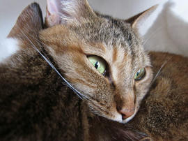 IMG02773.jpg