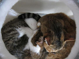 IMG02776.jpg