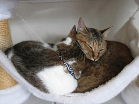 IMG02777.jpg