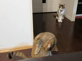 IMG02779.jpg