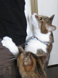 IMG02782.jpg