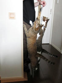 IMG02783.jpg
