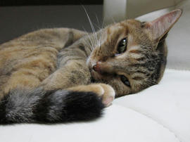 IMG02769.jpg