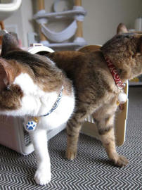 IMG02788.jpg