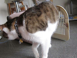 IMG02789.jpg