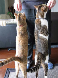 IMG02791.jpg