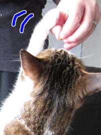 IMG02792.jpg