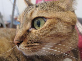 IMG02802.jpg