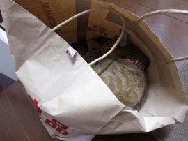 IMG02803.jpg