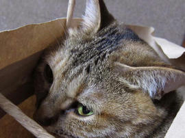 IMG02804.jpg