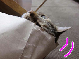 IMG02806.jpg