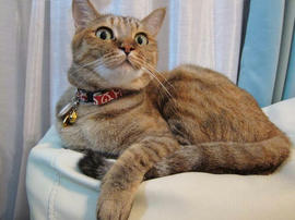IMG02812.jpg