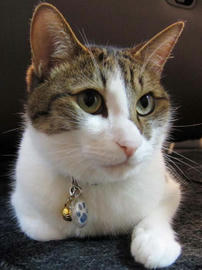 IMG02813.jpg