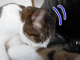 IMG02818.jpg