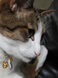 IMG02819.jpg