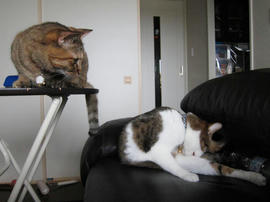 IMG02822.jpg