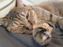 IMG02831.jpg
