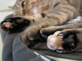 IMG02833.jpg