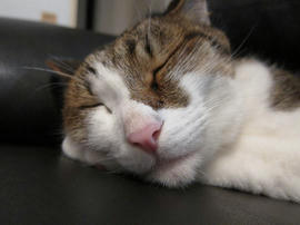 IMG02838.jpg