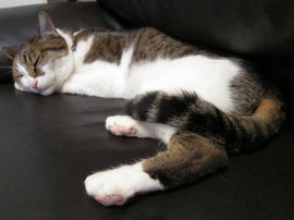IMG02840.jpg