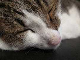 IMG02841.jpg