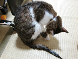 IMG02842.jpg