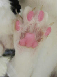 IMG02844.jpg