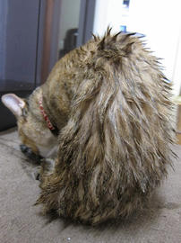 IMG02850.jpg