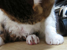 IMG02856.jpg
