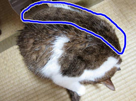 IMG02860.jpg