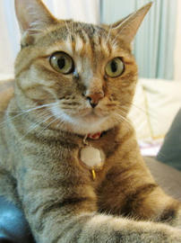 IMG02867.jpg