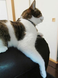 IMG02868.jpg