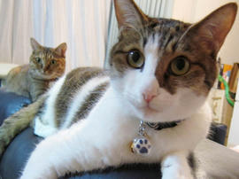 IMG02865.jpg