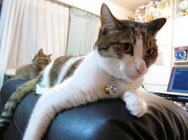 IMG02866.jpg