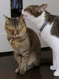 IMG02862.jpg