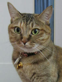 IMG02863.jpg