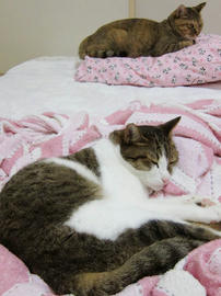 IMG02874.jpg